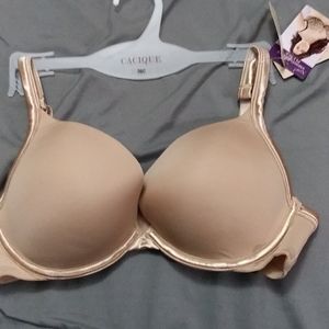 Cacique push up plunge bra